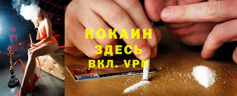 Cocaine Fish Scale Городец